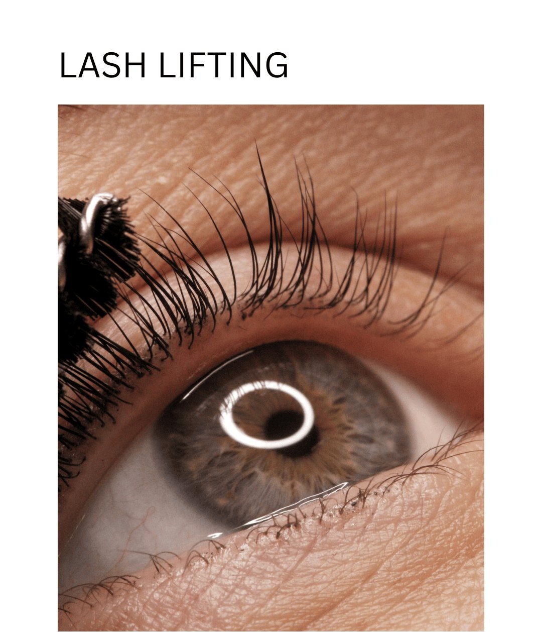 Lash Lifting bei Anne Constantin Medical Beauty in Heilbronn