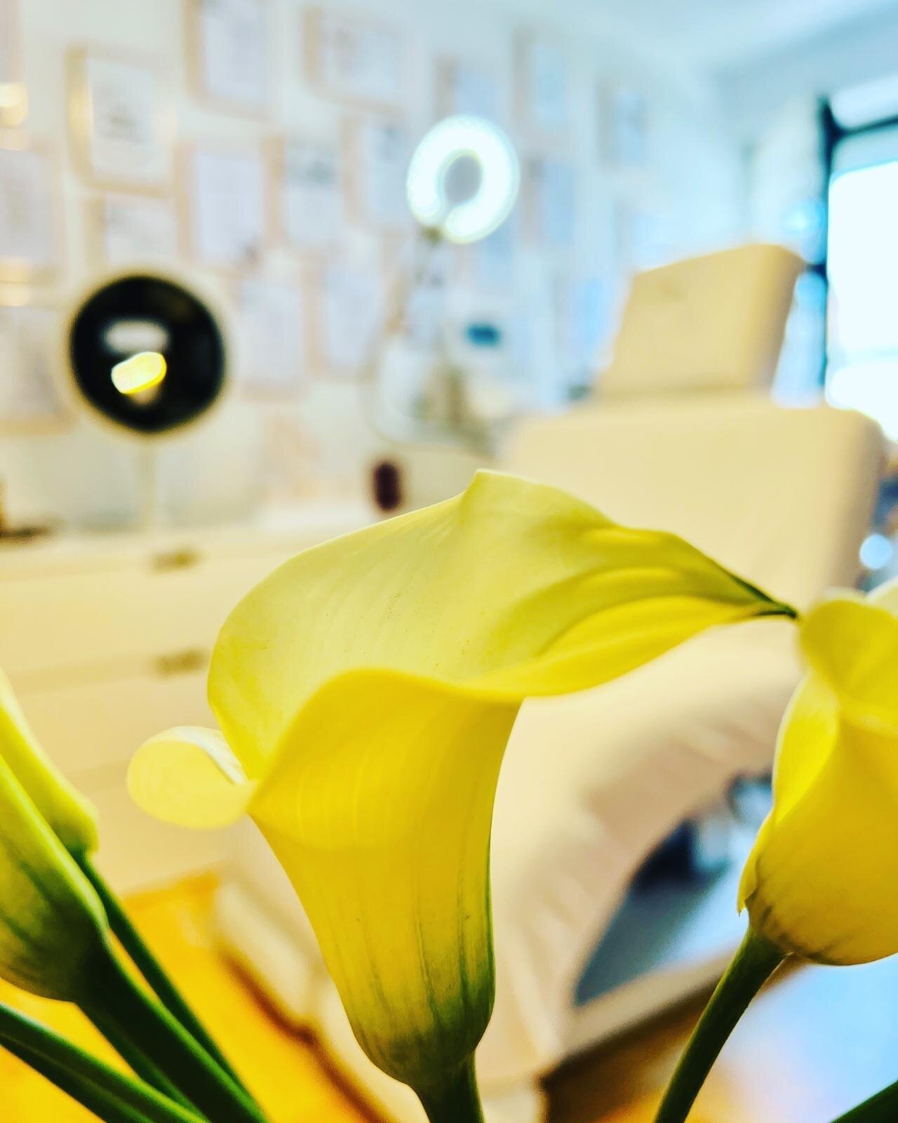 Gelbe Calla-Blüten vor dem Behandlungsraum